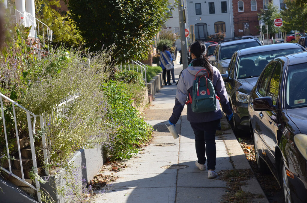 DSC_7298 Person with a backpack walks down a tree-lined sidewalk in a sunny urban neighborhood.