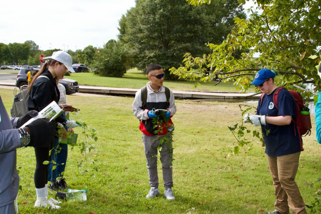 IMG_2860 Volunteers participate in outdoor tree planting activity, analyzing leaves and using guidebooks for tree identification.