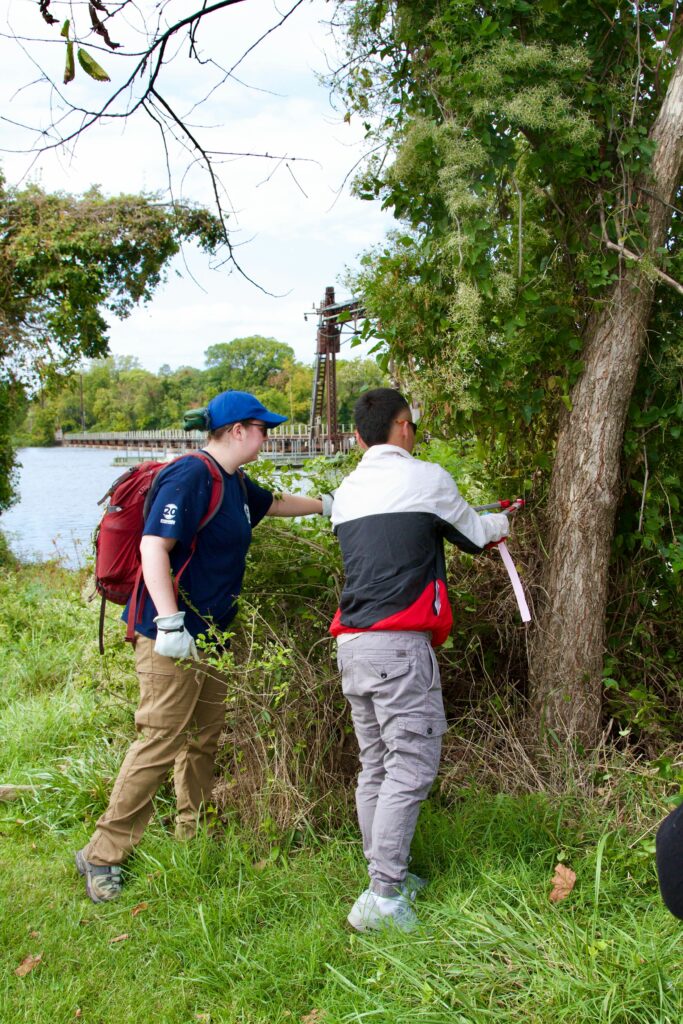 IMG_2862 Two people volunteering in an outdoor conservation project, trimming plants near a tree by a riverside.
