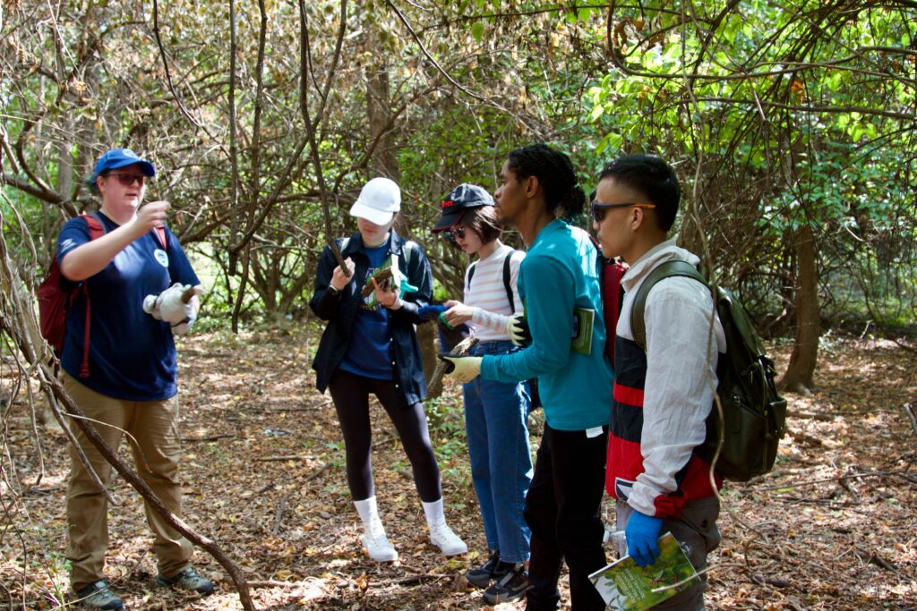 IMG_2865 Group of people exploring a forest, studying plants with books and gear.
