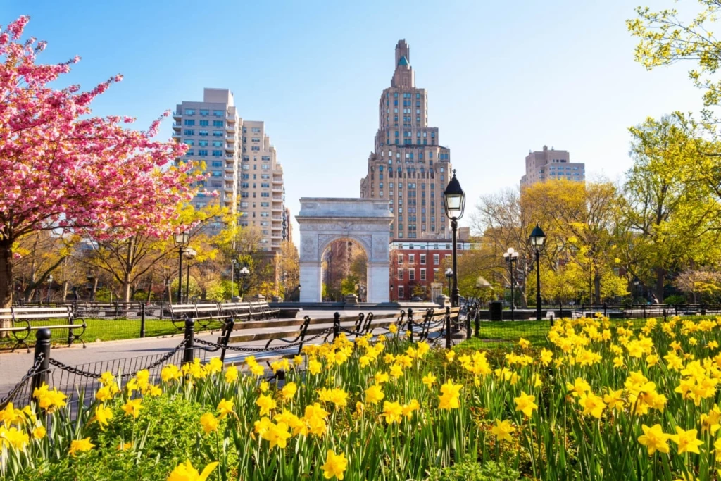 Sunny day in Washington Square Park with colorful spring flowers and the iconic arch in New York City.