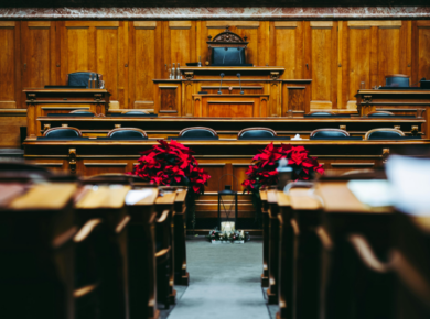 Political Science Careers: What Jobs Can You Get With a Political Science Degree? 40 Empty government assembly hall with wooden benches and flowers, depicting legislative roles and political science careers in government.