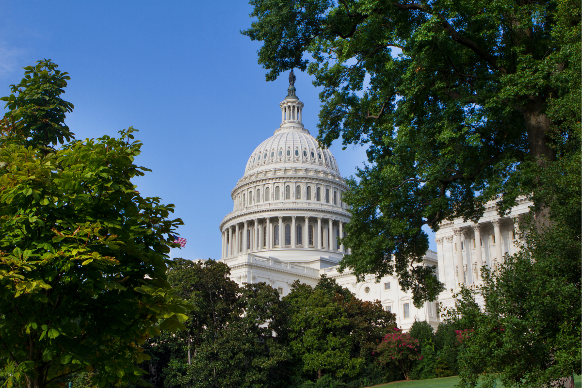 U.S. Capitol building in Washington, D.C. — symbolizing policy, leadership, and internship opportunities for STEM students at Bay Atlantic University
