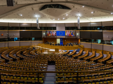 What Is Public Policy, and Why Does It Matter for Global Citizens? 12 The interior of the European Parliament chamber, symbolizing international collaboration and the role of institutions in shaping public policy.